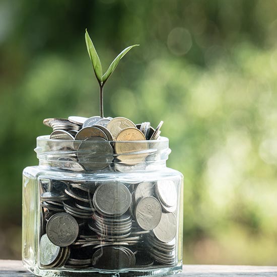 leaves sprouting out of a jar of coins