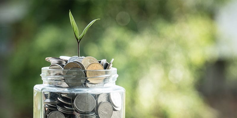 jar of coins with leafy bud sprouting out