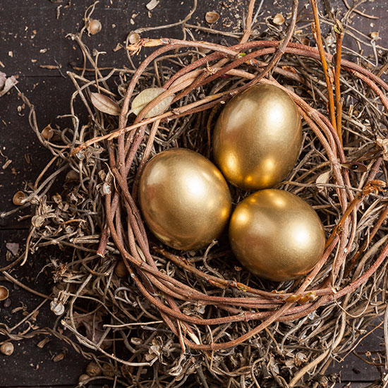 3 golden eggs in a nest of twigs