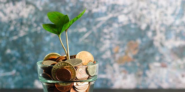 A glass cup full of coins with a plant sprouting out of it.